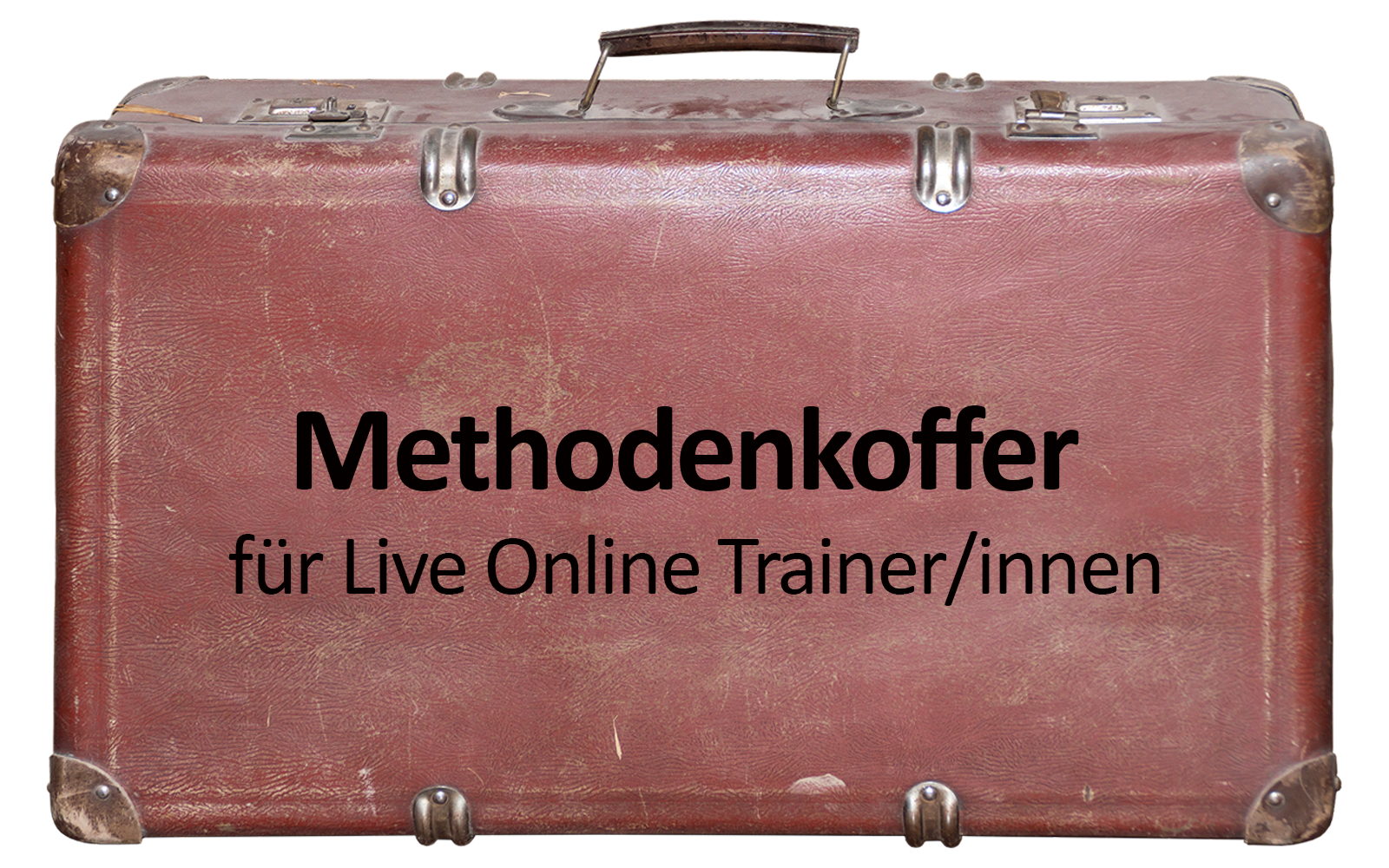 Methodenkoffer für Live Online Trainer
